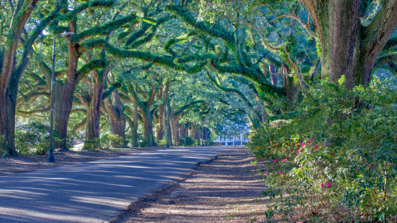 Buying an Older Home in Mobile or Baldwin County: What to Look For | Bellator Real Estate